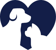 Personalized care from a consistent team